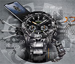 Festina