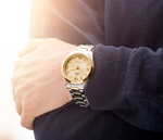 Festina